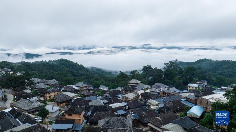 宝马 棋牌